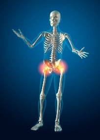 seminario_feldenkrais_articolazione_anche